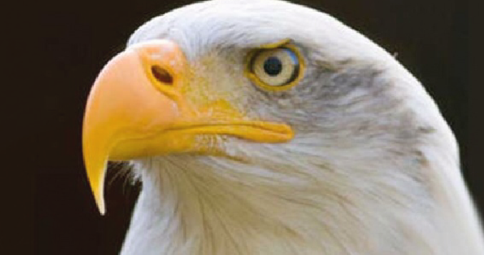 8C3C482C-23E4-4DF8-83FE-D31DAC3207C8